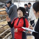 야곱농장 이미지