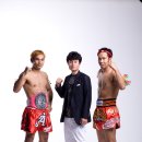 스타체육관 이미지