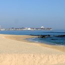 영진1리 이미지