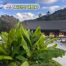 경남탑정비 | &#34;지리산 천왕봉 아래 단풍 명소&#34; 천년 고찰 경남 산청 대원사