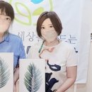 보태니컬+팝아트 이미지