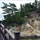 감나무식당 이미지