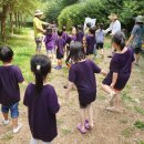 봉의초등학교 병설유치원 이미지