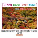 양지고속관광여행사 이미지