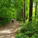 삼수동 행정복지센터 앞 이미지