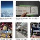 부산개별화물협회정비 | 도쿄 바나나 잔뜩 사고 캐리어에 안 들어가서 기내 수하물 쇼핑백 3개 바리바리 들고 비행기 탄 후기