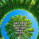 머물고싶은곳 이미지