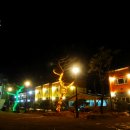 솜마(나) 이미지