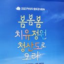 호식이여행사 | 2023청산도 슬로걷기 축제