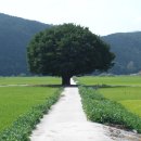 야로면사무소 이미지