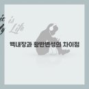 큰빛안과의원 이미지