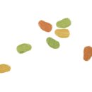 채식요리(주간) 이미지