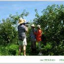 아람농장 이미지