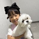 몽트루디 이미지