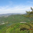 구봉산전망대 이미지