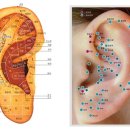 연희한방병원 이미지