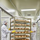 장단콩웰빙마루 이미지