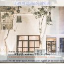 타이둥 여행, 티인 틴 리버쇼어 비앤비 호텔 추천 후기: 잊을 수 없는 시간