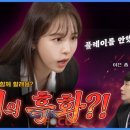 (주)세가코리아 이미지