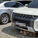 청남대 숲속 펜션 | 최고의 테니스 펜션 여주 숲속 테니스장 후기