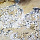 광안동물병원 이미지