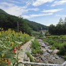 태백산(금천지구-문수봉-태백산-장군봉-깃대배기봉-청옥산-넛재) 이미지