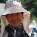 다래농원 이미지