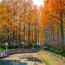 장태산 자연 휴양림 이미지