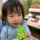 안성시육아종합지원센터 동부권 부속사업장 이미지