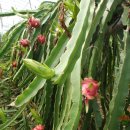 수광농장 이미지