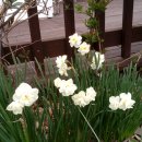 거창펜션 이미지