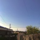 🌳초여름의 제주🍊