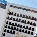 Honey Mocha(허니모카) 이미지