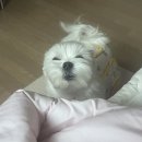 연합가축병원 | 2024년 상반기 회고록
