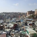 창신목장 이미지