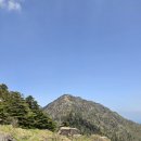 지리산 장터목대피소 천왕봉 제석봉 중산리 등산코스 연달래