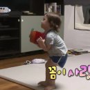 꼼이