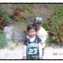 수아농장 이미지