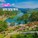 나트랑 달랏투어 굿데이 컴퍼니 장거리 이동 가족여행 달랏 일일투어 후기