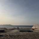 더숲캠핑장 | 태안 오션뷰 캠핑장 추천 시설 깔끔한 노을숲캠핑장 후기, 바다앞 명당은?