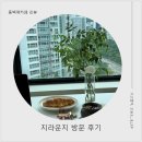 동백카페 | [기흥카페] 용인뷰좋은카페 지라운지| 예쁜 뷰에 분좋카 동백역 카페 솔직후기