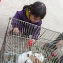 욱이네 농장 이미지