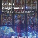 [Cantus Gregorianus] 11월 라틴어로 봉헌되는 그레고리오성가 미사 이미지