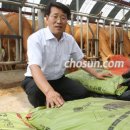 고양한우영농조합법인 이미지