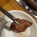 문화촌갈매기