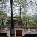 래미안 푸른숲 도서관 | [경기도 도서관] 광교 푸른숲 도서관 푸른숲 책뜰 후기