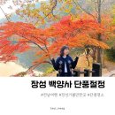 백양사 | 백양사 단풍 절정 최근 방문 후기 지금 얼른 다녀오세요 !