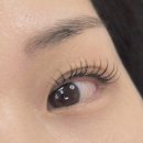 선운지구속눈썹 자연스럽게 잘 붙는 곳 찾다가 가본 모든뷰티 LED연장 솔직후기