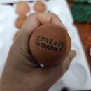 등고개2 | 계란보관법 유정란 난각번호1번 등고개농장 초간단계란국 레시피