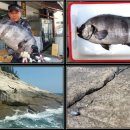 완도20호 이미지